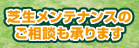 芝生メンテナンスのご相談も承ります