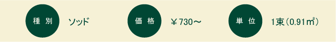 姫高麗芝（ヒメコウライシバ）：概要