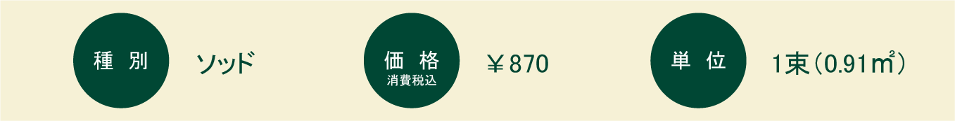 姫高麗芝（ヒメコウライシバ）：概要