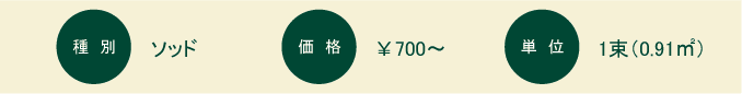 高麗芝（コウライシバ）：概要