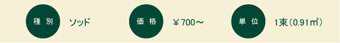 野芝（ノシバ）：概要