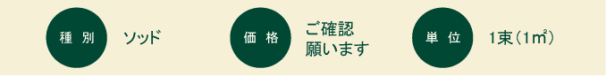 ティフトン：概要