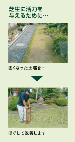 芝生に活力を与えるために…（施工前・施工後）
