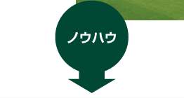 ノウハウ