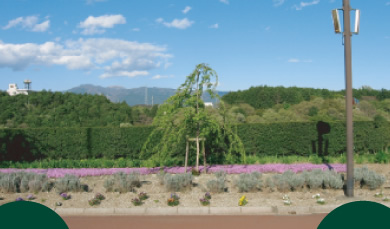 公園