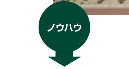 ノウハウ